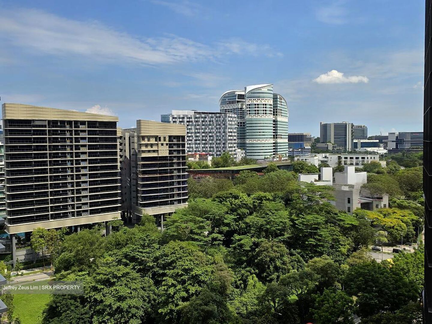 The Rochester Residences (D5), Apartment #470740281